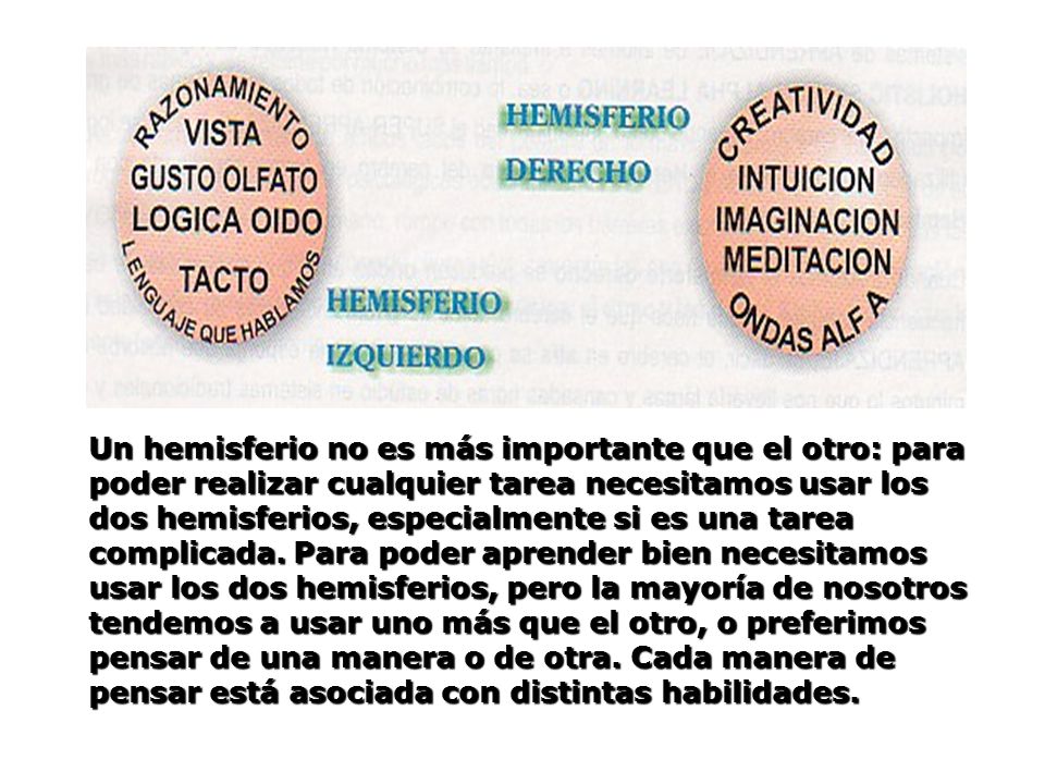 Un hemisferio no es más importante que el otro: para poder realizar cualquier tarea necesitamos usar los dos hemisferios, especialmente si es una tarea complicada.