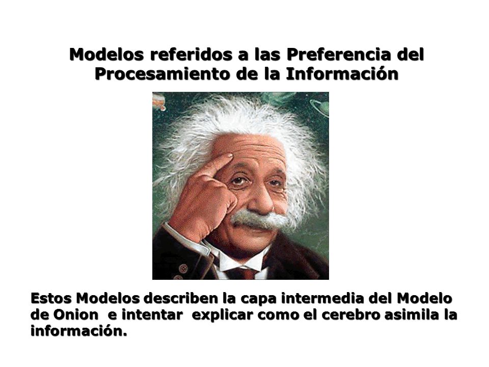 Modelos referidos a las Preferencia del Procesamiento de la Información
