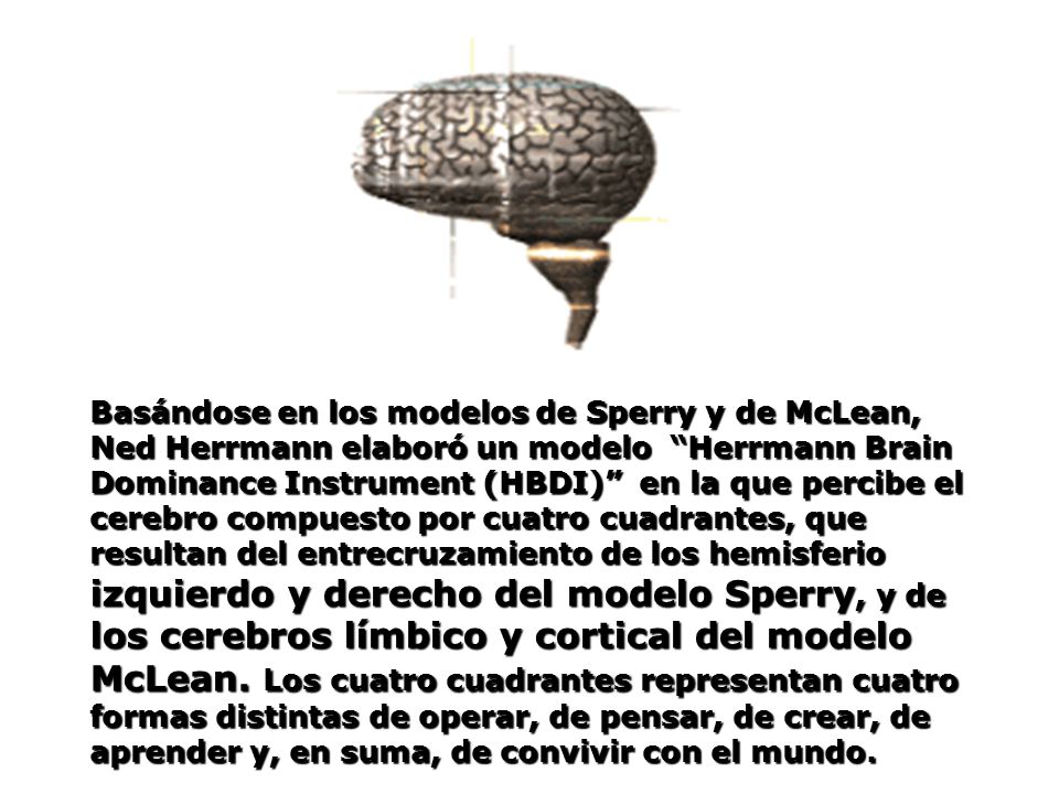 Basándose en los modelos de Sperry y de McLean, Ned Herrmann elaboró un modelo Herrmann Brain Dominance Instrument (HBDI) en la que percibe el cerebro compuesto por cuatro cuadrantes, que resultan del entrecruzamiento de los hemisferio izquierdo y derecho del modelo Sperry, y de los cerebros límbico y cortical del modelo McLean.