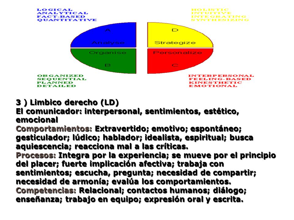 3 ) Limbico derecho (LD) El comunicador: interpersonal, sentimientos, estético, emocional.