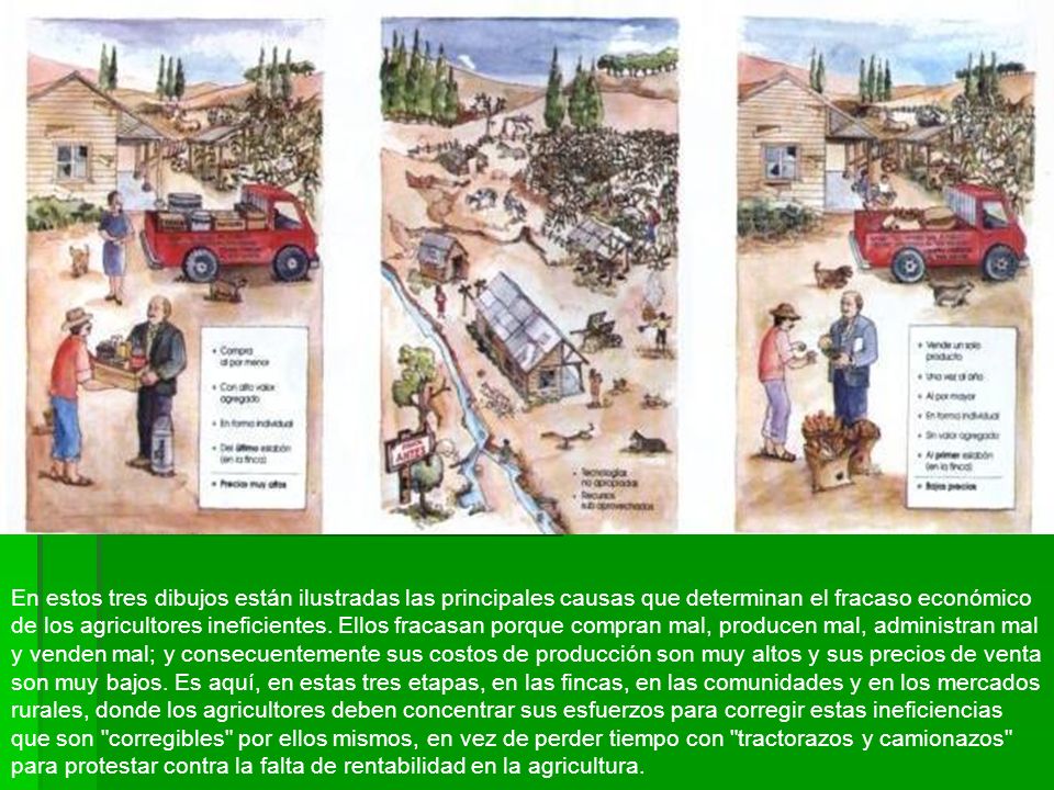 En estos tres dibujos están ilustradas las principales causas que determinan el fracaso económico de los agricultores ineficientes.