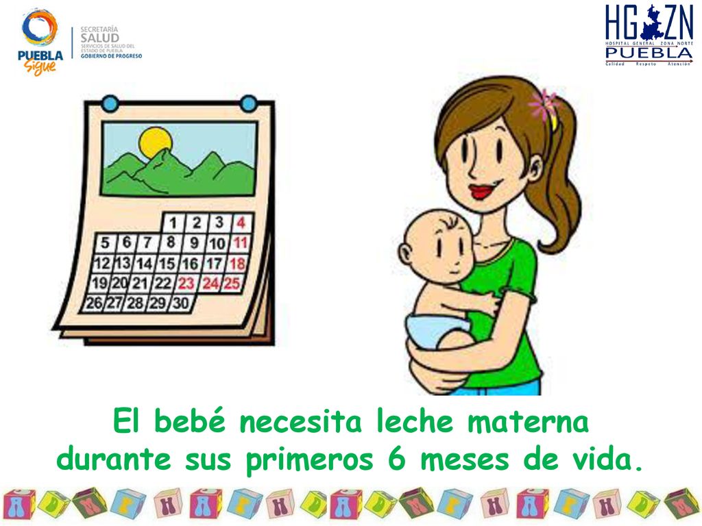 El bebé necesita leche materna durante sus primeros 6 meses de vida.