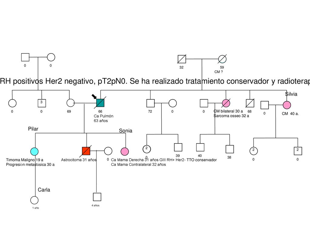 CM Grado III, RH positivos Her2 negativo, pT2pN0. Se ha realizado tratamiento conservador y radioterapia adyuvante.