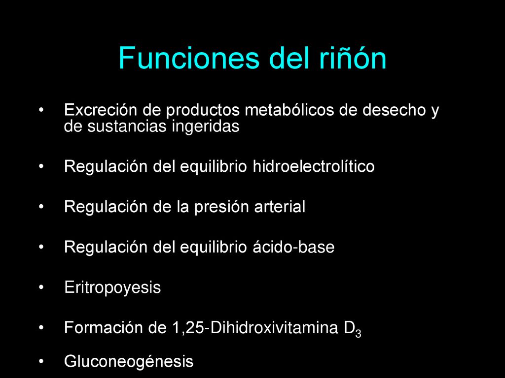 Funciones del riñón Excreción de productos metabólicos de desecho y de sustancias ingeridas. Regulación del equilibrio hidroelectrolítico.