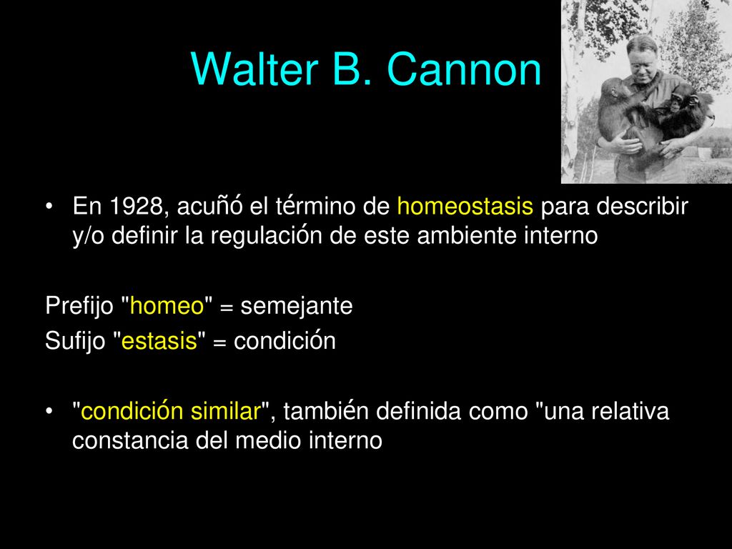 Walter B. Cannon En 1928, acuñó el término de homeostasis para describir y/o definir la regulación de este ambiente interno.