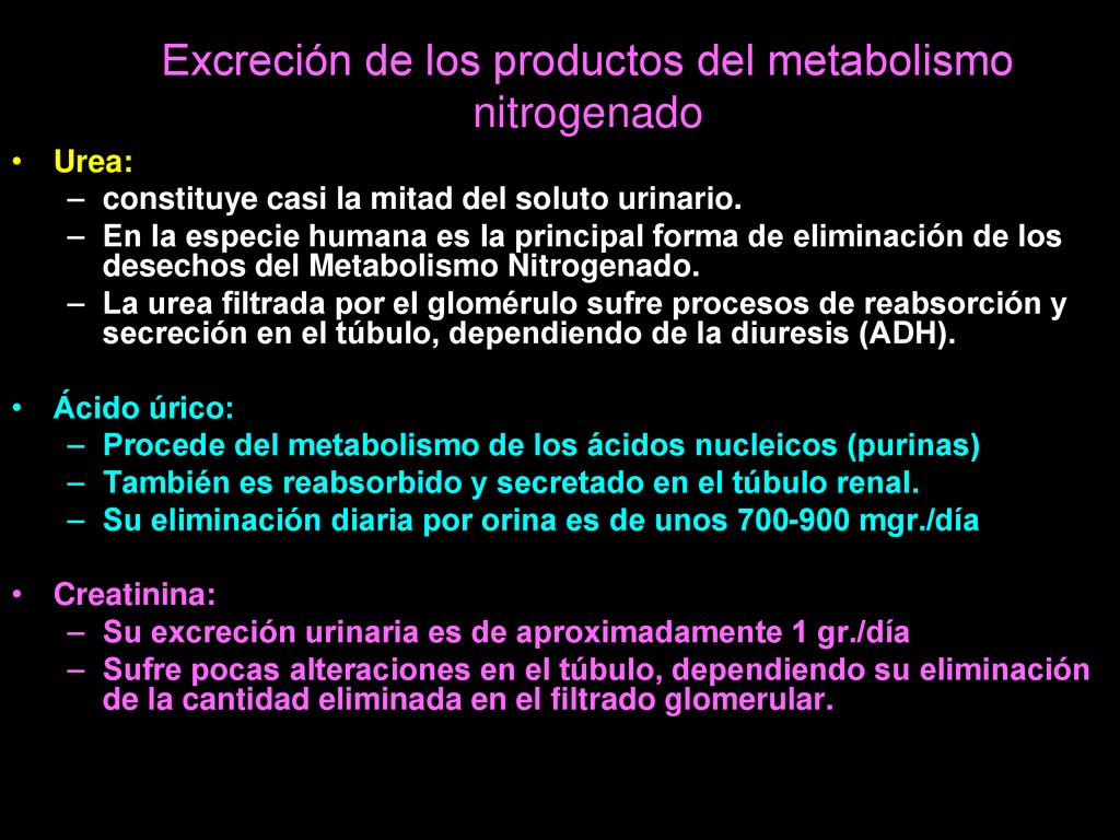 Excreción de los productos del metabolismo nitrogenado