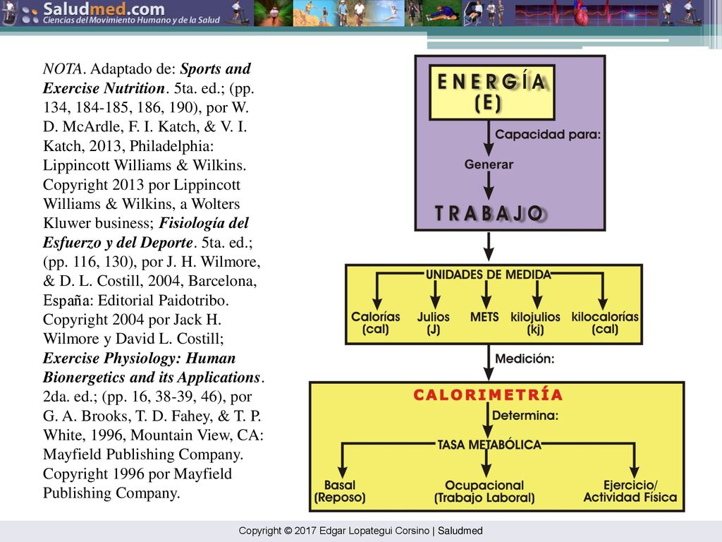 NOTA. Adaptado de: Sports and Exercise Nutrition. 5ta. ed. ; (pp