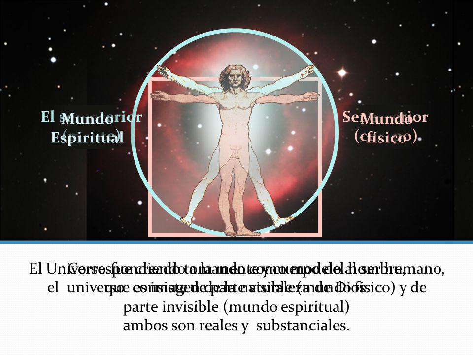 El Universo fue creado tomando como modelo al ser humano,