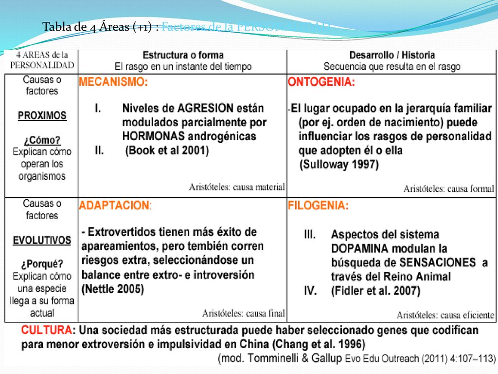 Tabla de 4 Áreas (+1) : Factores de la PERSONALIDAD