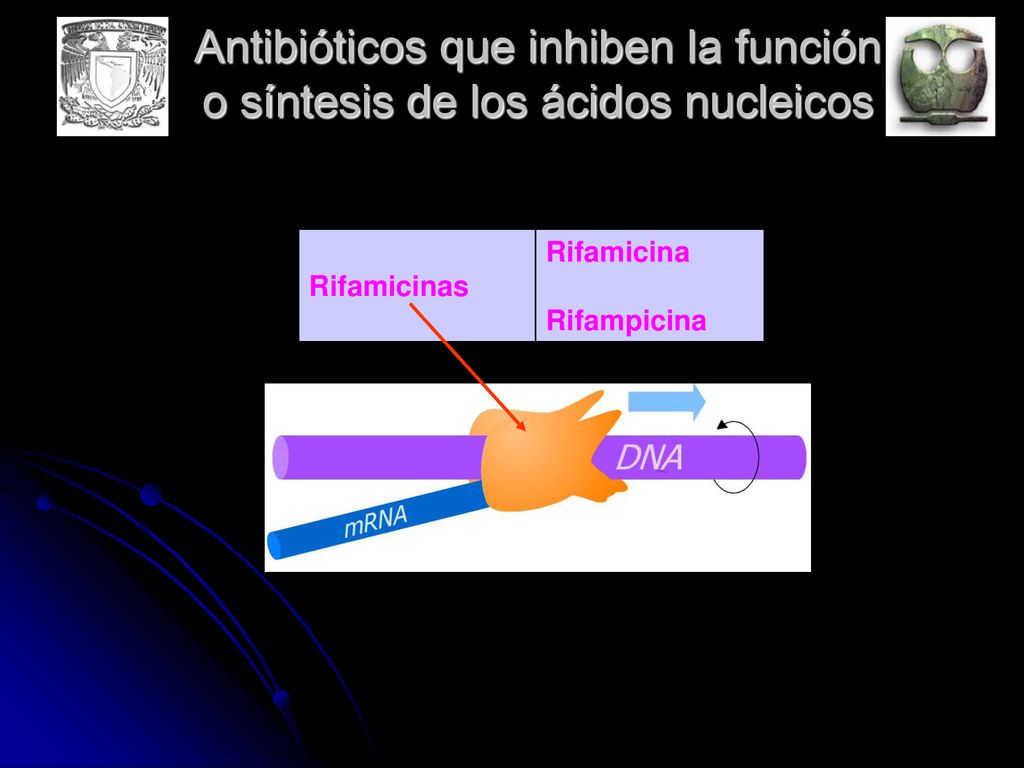 Antibióticos que inhiben la función o síntesis de los ácidos nucleicos