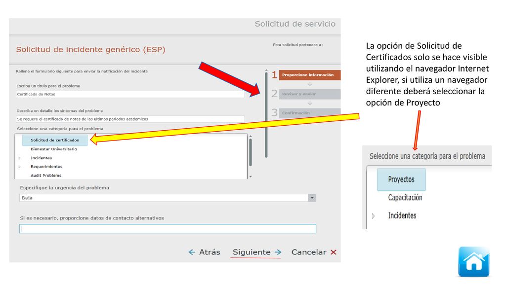 La opción de Solicitud de Certificados solo se hace visible utilizando el navegador Internet Explorer, si utiliza un navegador diferente deberá seleccionar la opción de Proyecto
