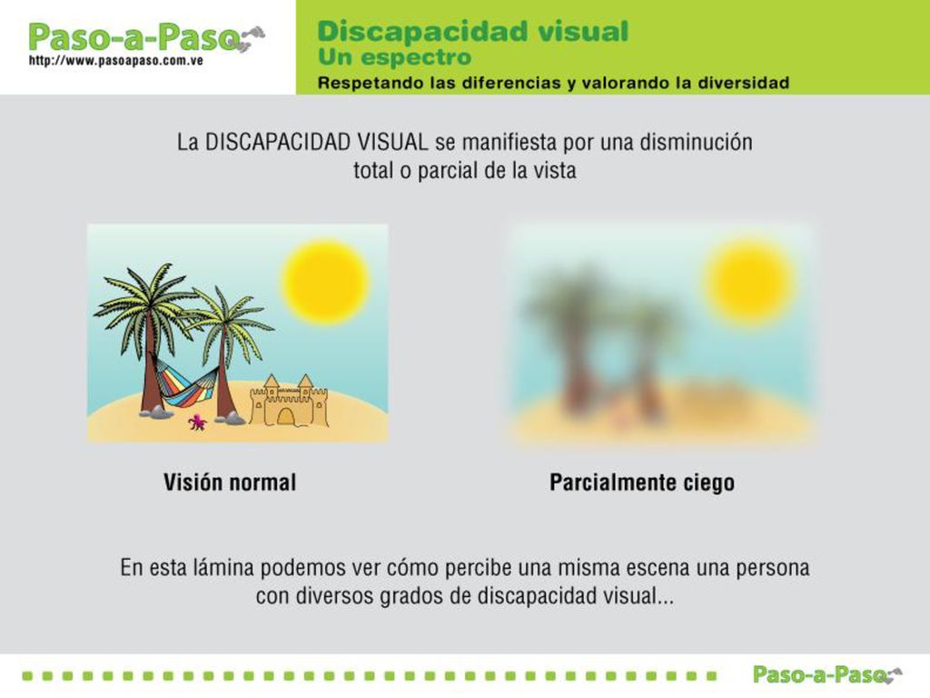 OBJETIVO: Demostrar que la discapacidad visual cubre todo un espectro...