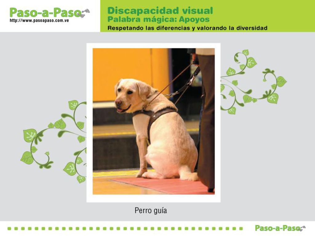 - Por ejemplo, se apoyan con el Perro Guía.....