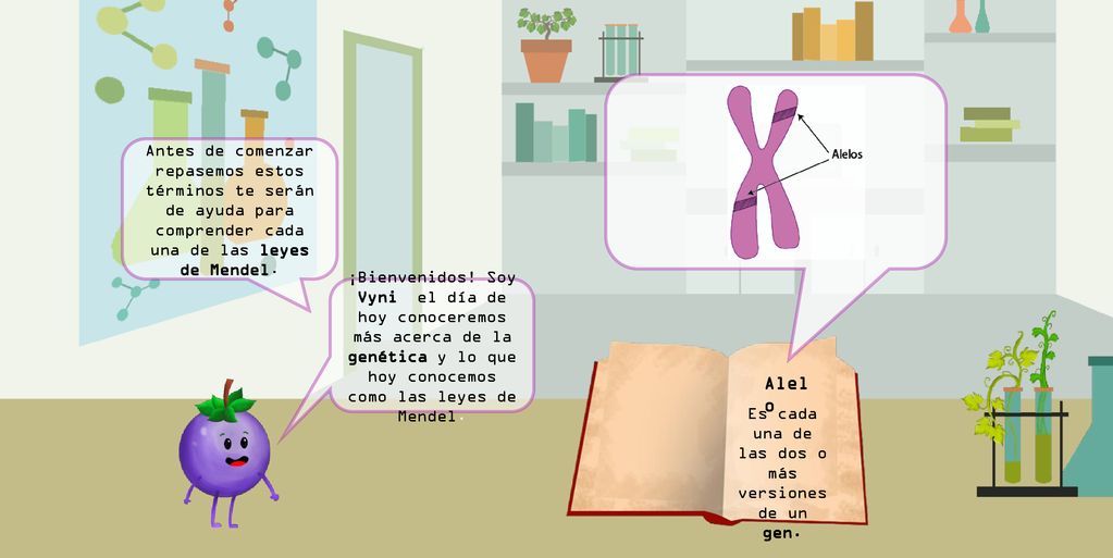 Es cada una de las dos o más versiones de un gen.