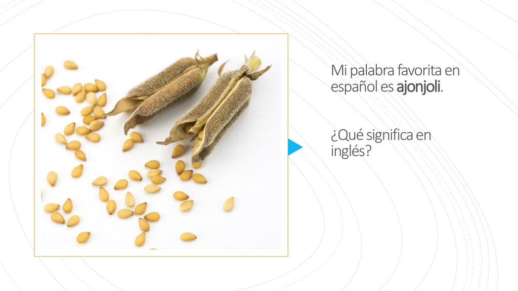 Mi palabra favorita en español es ajonjoli. ¿Qué significa en inglés