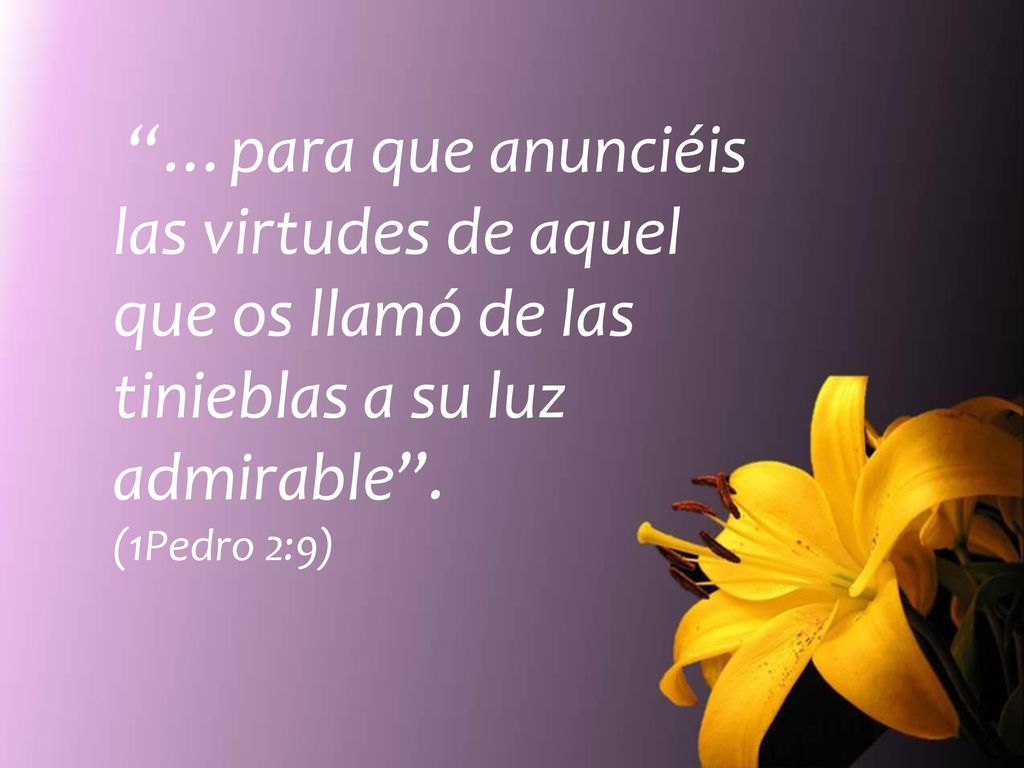 …para que anunciéis las virtudes de aquel que os llamó de las tinieblas a su luz admirable .