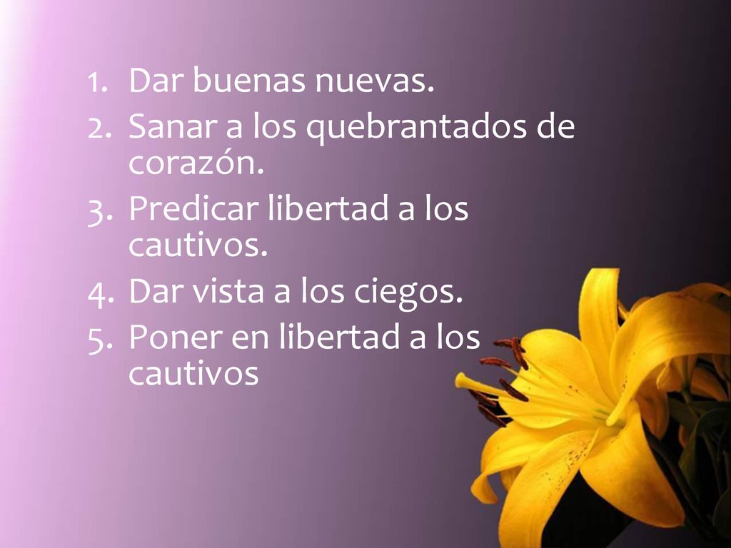 Dar buenas nuevas. Sanar a los quebrantados de corazón. Predicar libertad a los cautivos. Dar vista a los ciegos.