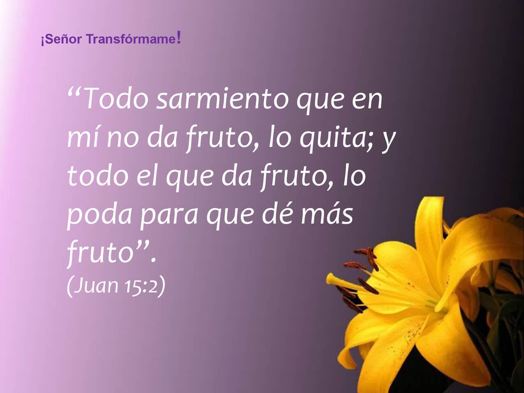¡Señor Transfórmame! Todo sarmiento que en mí no da fruto, lo quita; y todo el que da fruto, lo poda para que dé más fruto .