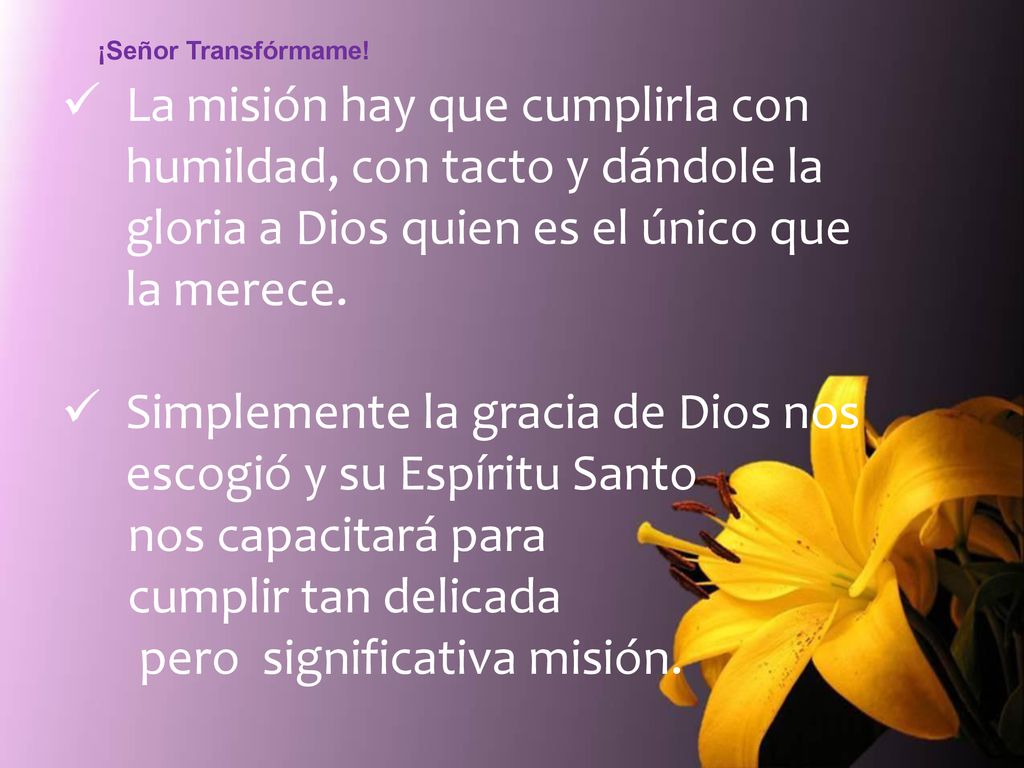 Simplemente la gracia de Dios nos escogió y su Espíritu Santo