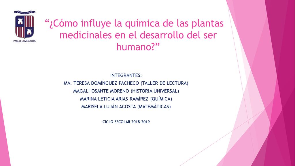 ¿Cómo influye la química de las plantas medicinales en el desarrollo del ser humano