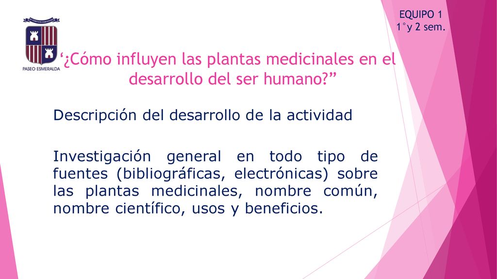EQUIPO 1 1°y 2 sem. ¿Cómo influyen las plantas medicinales en el desarrollo del ser humano Descripción del desarrollo de la actividad.