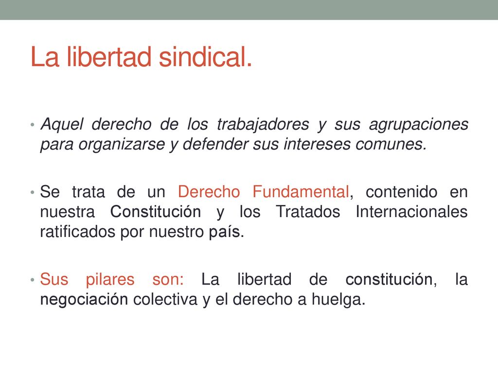 La libertad sindical. Aquel derecho de los trabajadores y sus agrupaciones para organizarse y defender sus intereses comunes.
