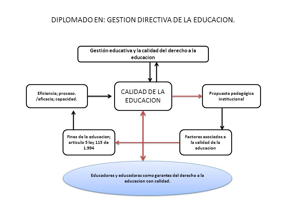 DIPLOMADO EN: GESTION DIRECTIVA DE LA EDUCACION.