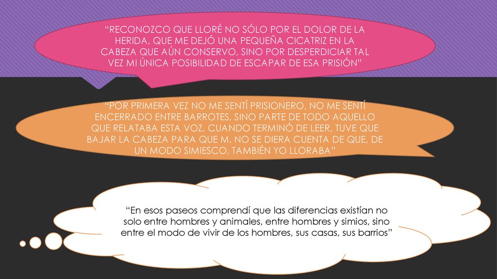 RECONOZCO QUE LLORÉ NO SÓLO POR EL DOLOR DE LA HERIDA, QUE ME DEJÓ UNA PEQUEÑA CICATRIZ EN LA CABEZA QUE AÚN CONSERVO, SINO POR DESPERDICIAR TAL VEZ MI ÚNICA POSIBILIDAD DE ESCAPAR DE ESA PRISIÓN