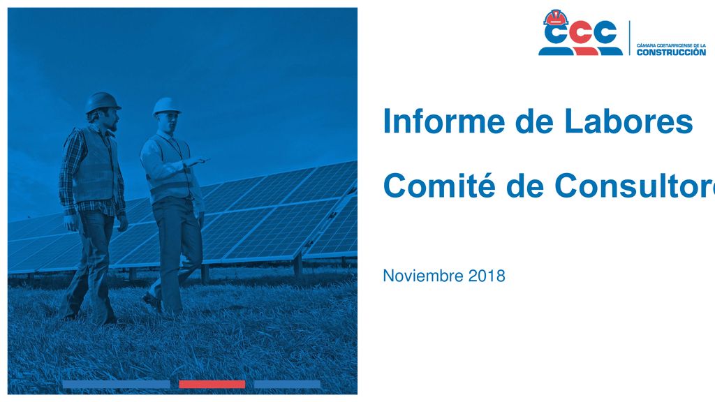 Informe de Labores Comité de Consultores Noviembre 2018
