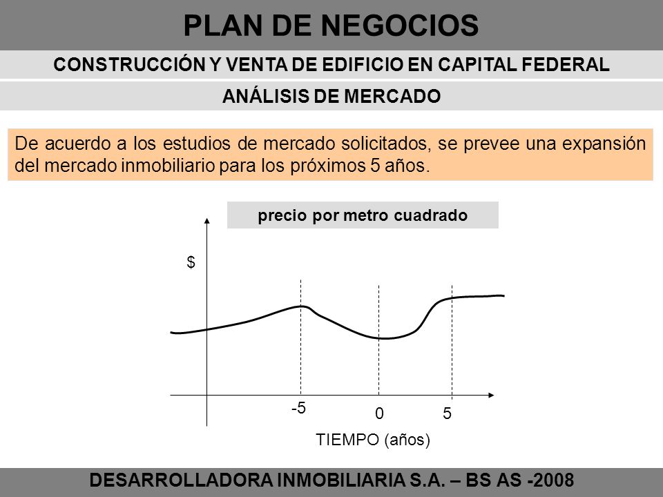 DESARROLLADORA INMOBILIARIA S.A. – BS AS -2008