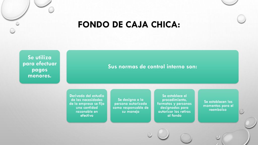 FONDO DE CAJA CHICA: Se utiliza para efectuar pagos menores.