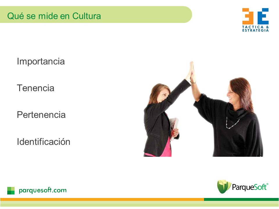 Importancia Tenencia Pertenencia Identificación Qué se mide en Cultura