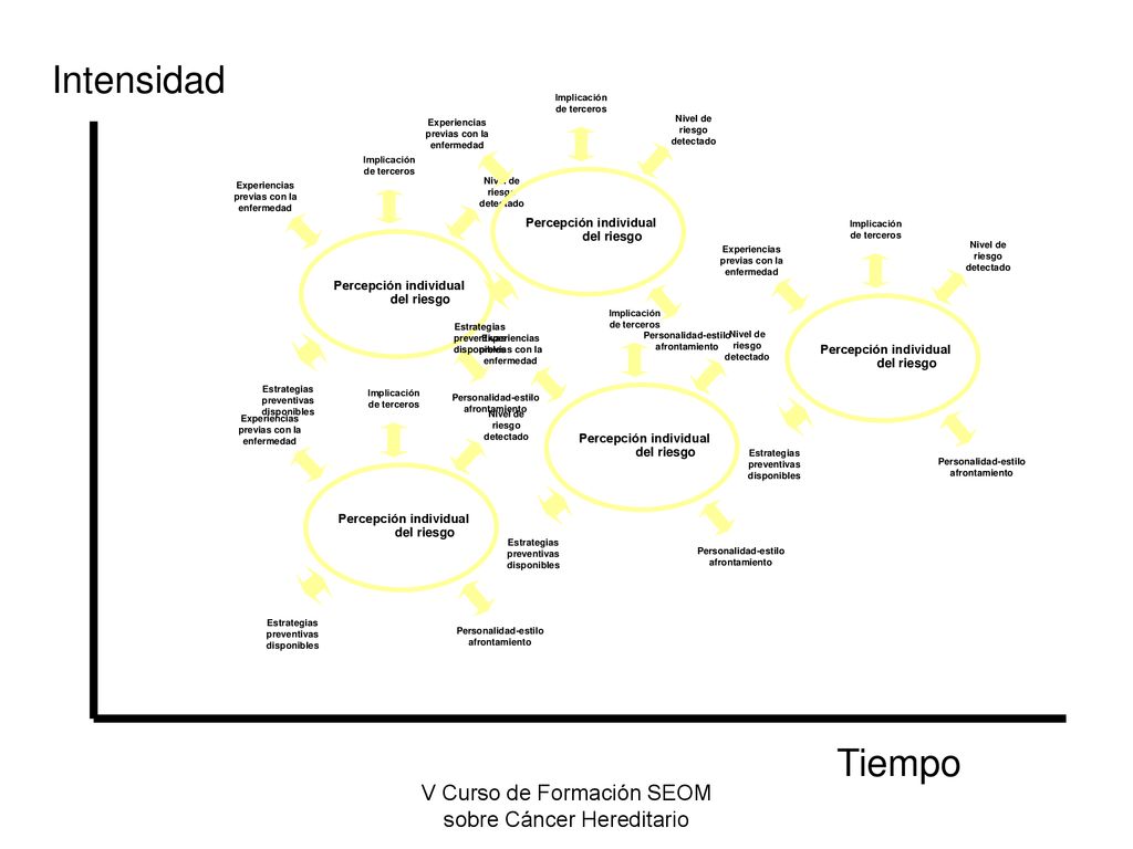 Intensidad Tiempo V Curso de Formación SEOM sobre Cáncer Hereditario