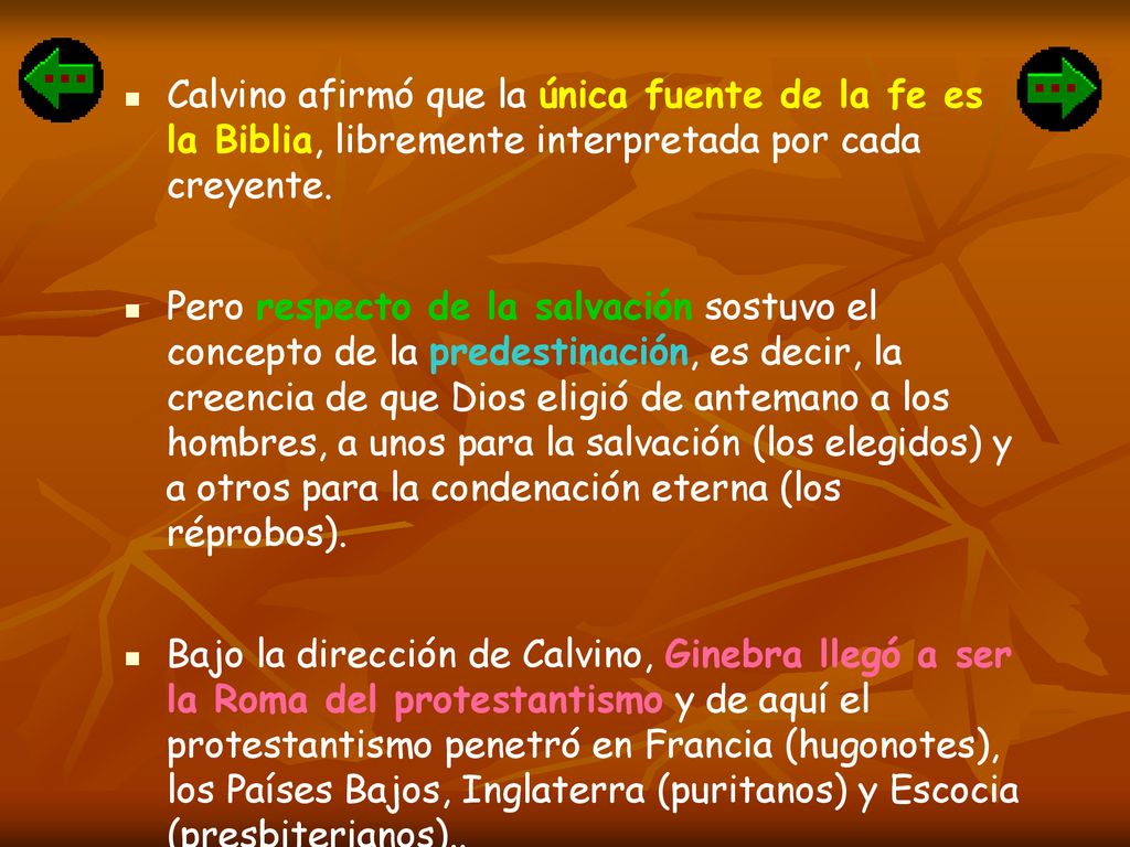 Calvino afirmó que la única fuente de la fe es la Biblia, libremente interpretada por cada creyente.