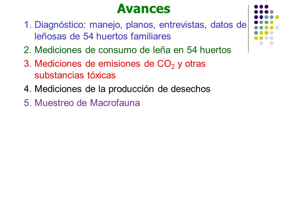 Avances Diagnóstico: manejo, planos, entrevistas, datos de leñosas de 54 huertos familiares. Mediciones de consumo de leña en 54 huertos.