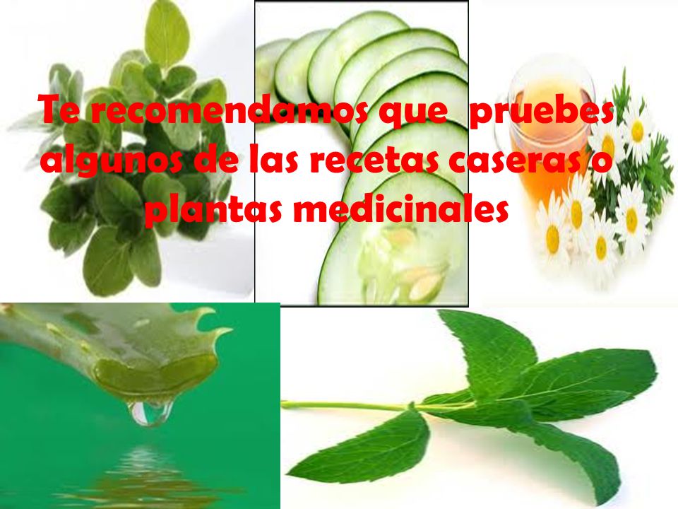 Te recomendamos que pruebes algunos de las recetas caseras o plantas medicinales