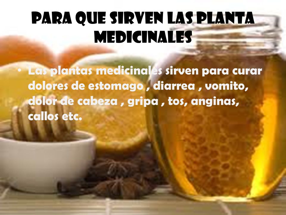 Plantas Y Alimentos Medicinales De Sonora Ppt Descargar