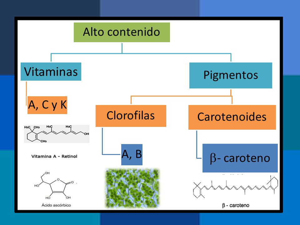 Vitaminas Alto contenido A, C y K Pigmentos Clorofilas A, B