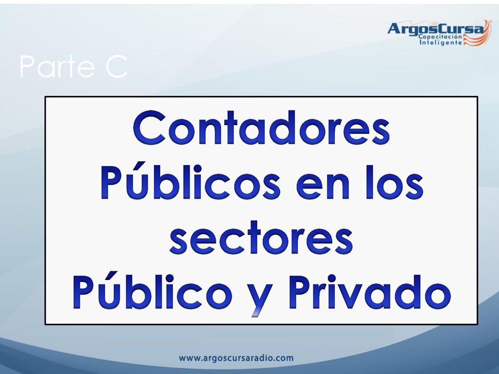 Contadores Públicos en los sectores Público y Privado