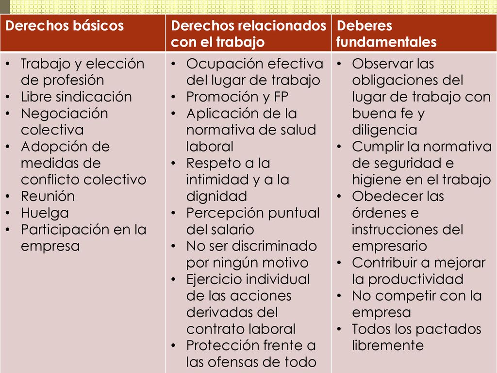 Derechos básicos Derechos relacionados con el trabajo. Deberes fundamentales. Trabajo y elección de profesión.
