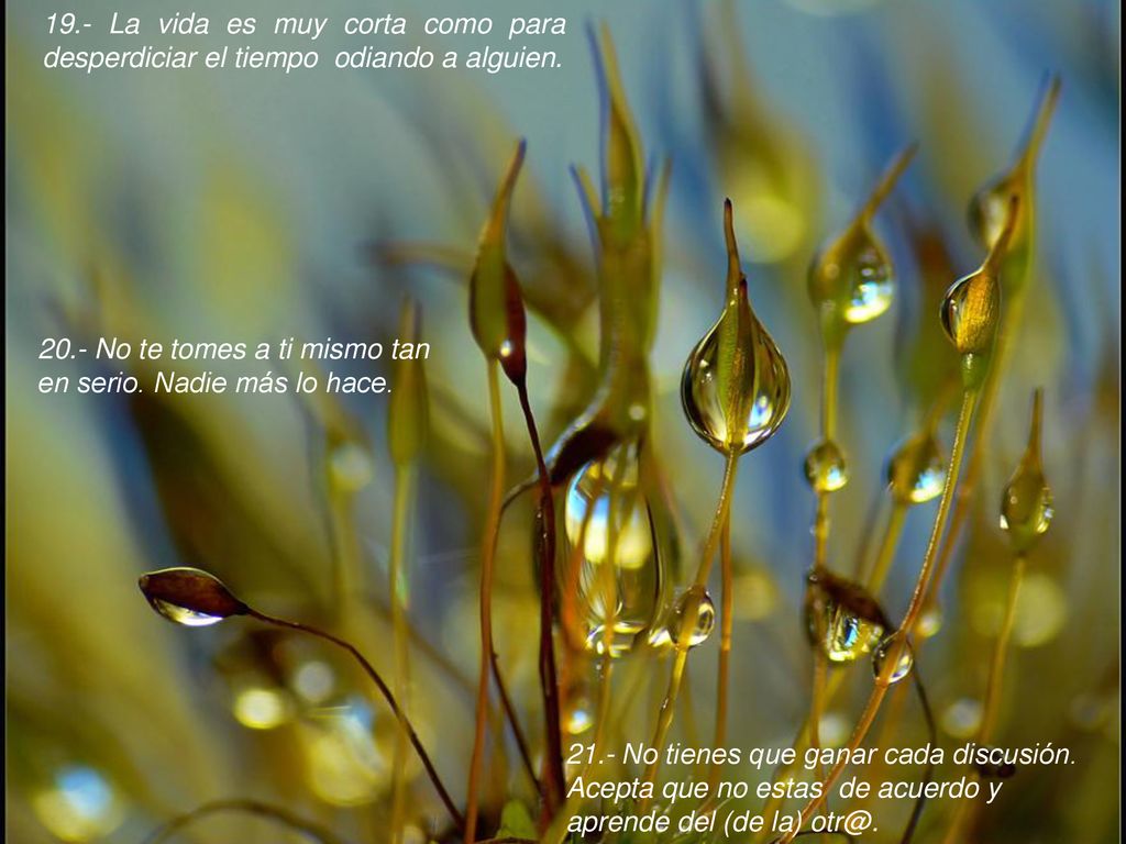 19.- La vida es muy corta como para desperdiciar el tiempo odiando a alguien.