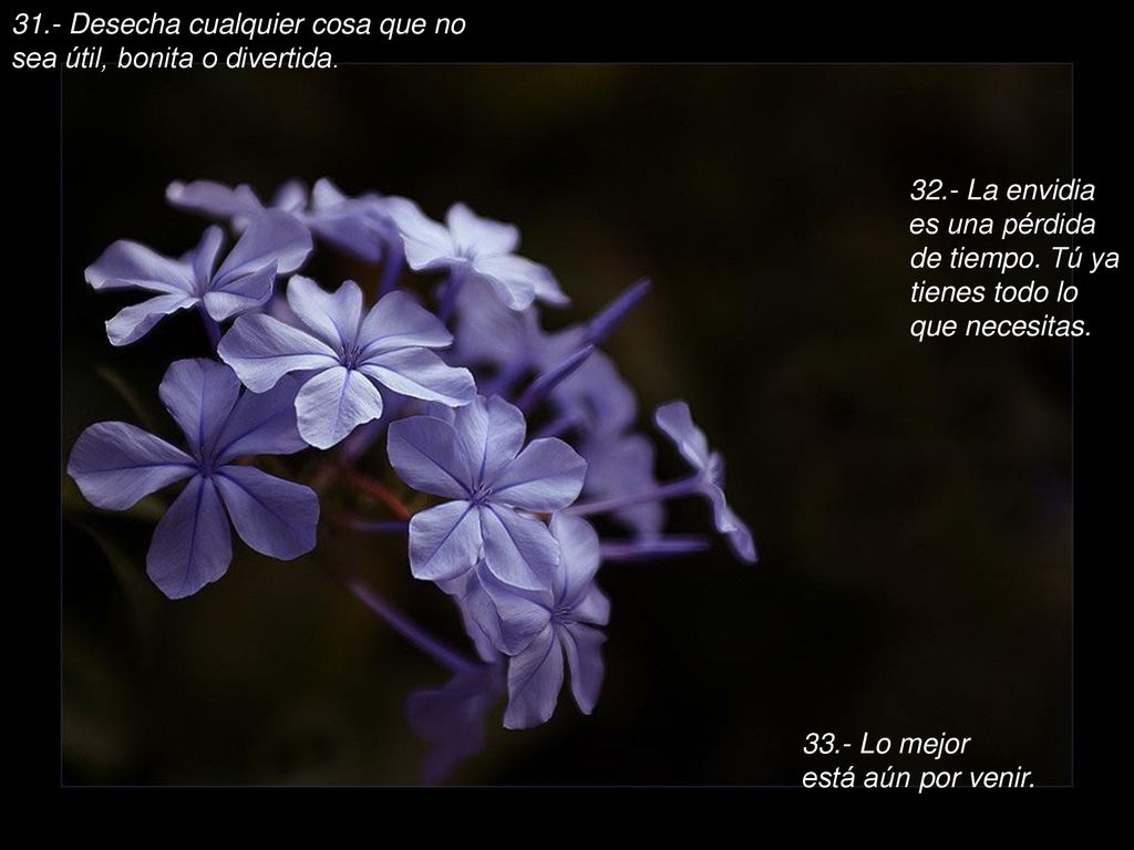 31.- Desecha cualquier cosa que no sea útil, bonita o divertida.