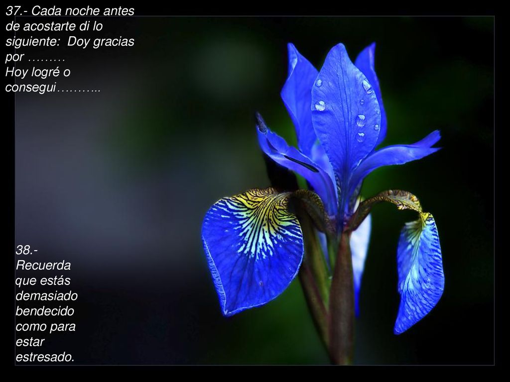 37.- Cada noche antes de acostarte di lo siguiente: Doy gracias por ……… Hoy logré o consegui………..