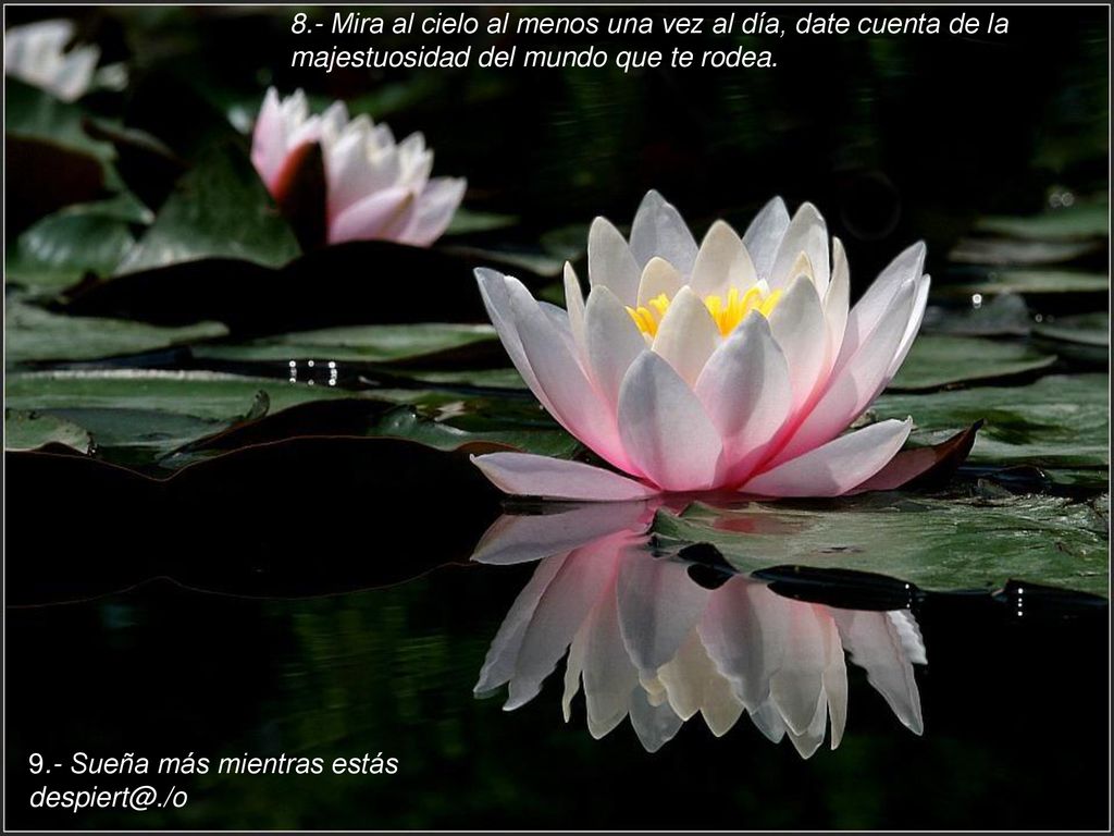 8.- Mira al cielo al menos una vez al día, date cuenta de la majestuosidad del mundo que te rodea.