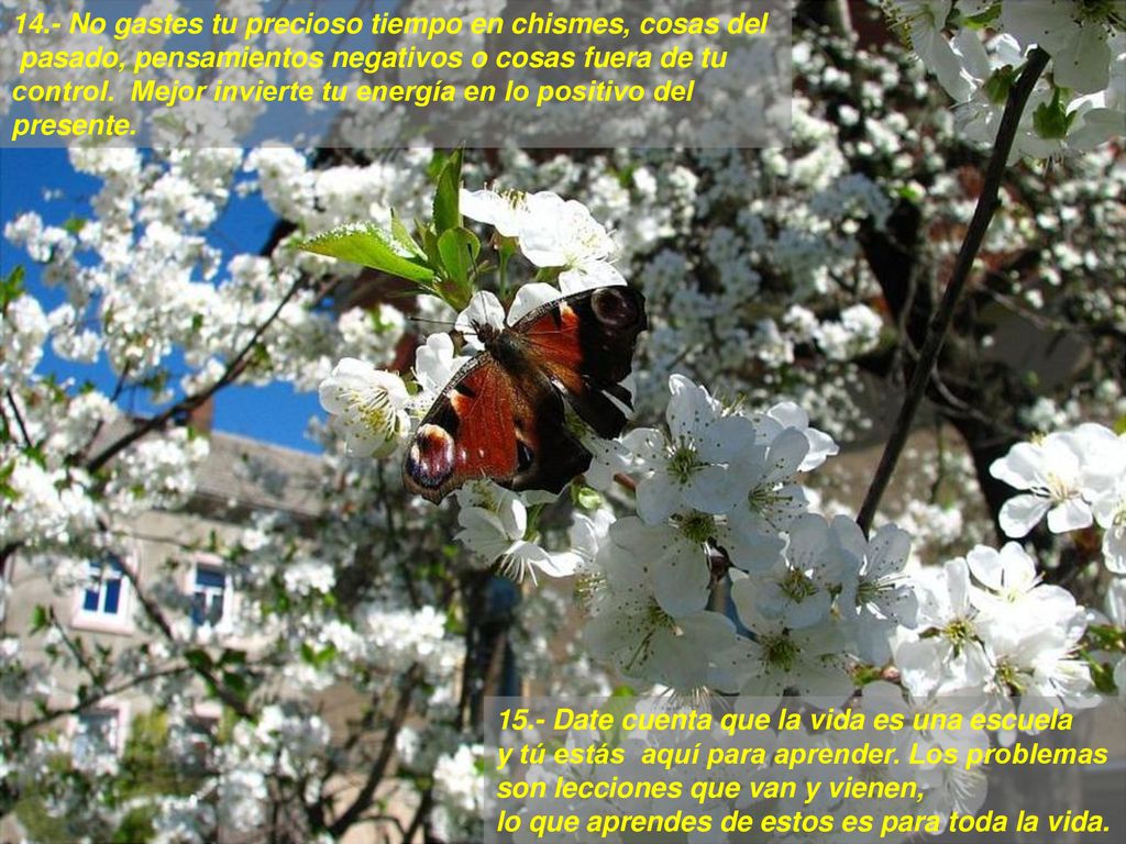 14.- No gastes tu precioso tiempo en chismes, cosas del pasado, pensamientos negativos o cosas fuera de tu control. Mejor invierte tu energía en lo positivo del presente.