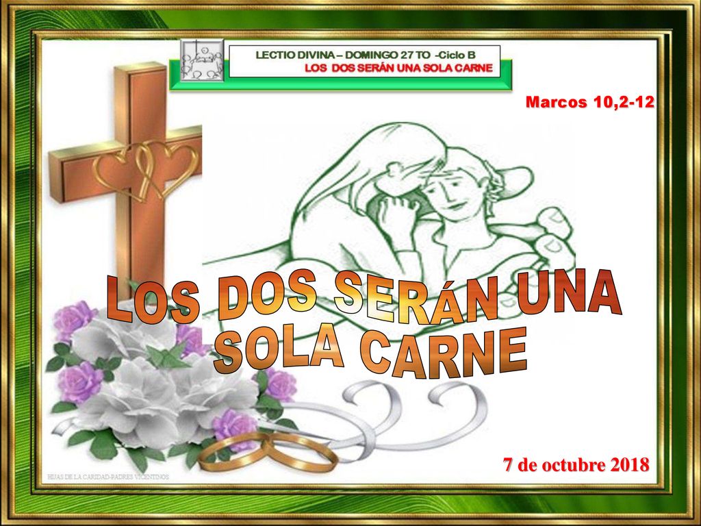 Marcos 10,2-12 LOS DOS SERÁN UNA SOLA CARNE 7 de octubre 2018