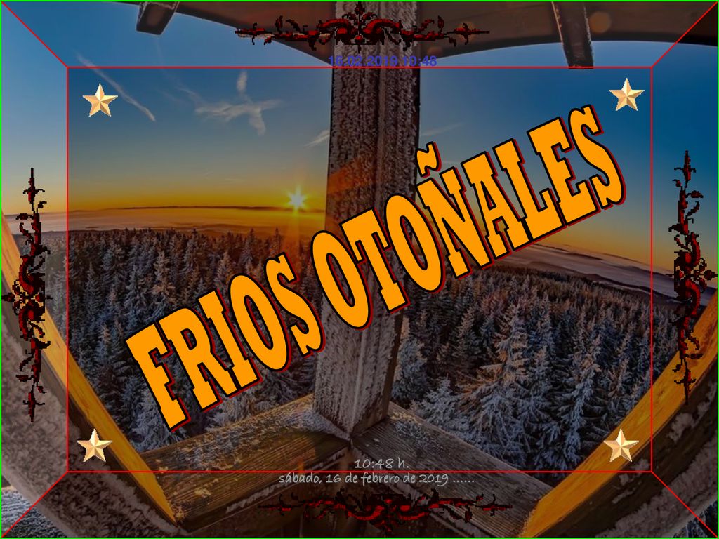FRIOS OTOÑALES sábado, 16 de febrero de 2019 …… 10:48 h.