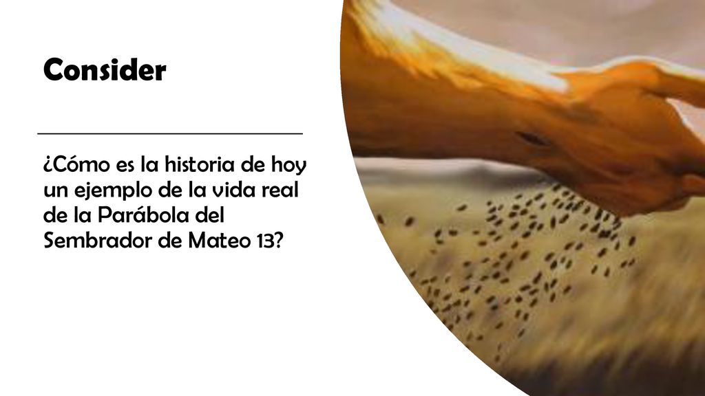 Consider ¿Cómo es la historia de hoy un ejemplo de la vida real de la Parábola del Sembrador de Mateo 13