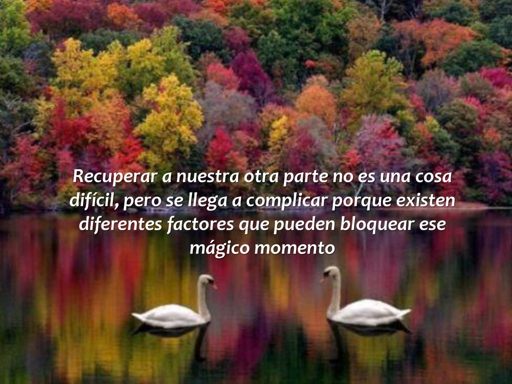 Recuperar a nuestra otra parte no es una cosa difícil, pero se llega a complicar porque existen diferentes factores que pueden bloquear ese mágico momento