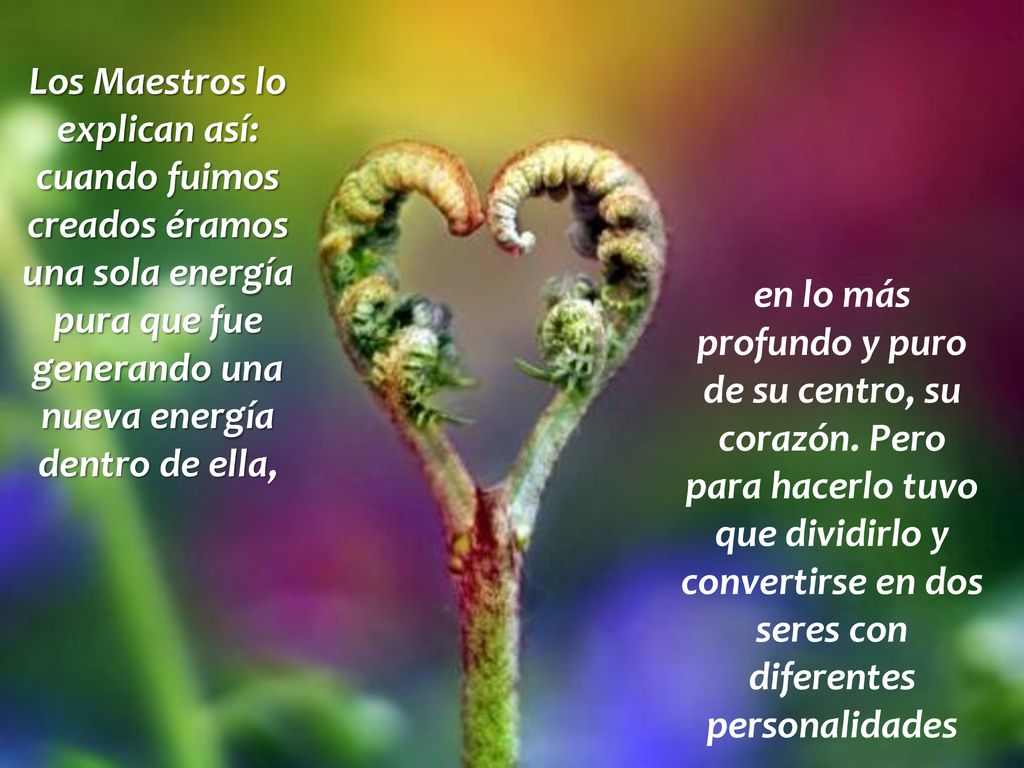 Los Maestros lo explican así: cuando fuimos creados éramos una sola energía pura que fue generando una nueva energía dentro de ella,